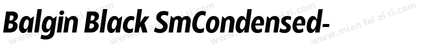 Balgin Black SmCondensed字体转换